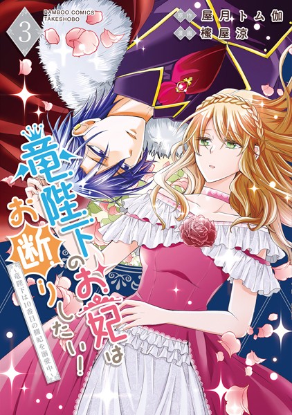 竜陛下のお妃はお断りしたい！〜竜陛下は10番目の側妃を溺愛中〜【電子限定特典付き】 （3）